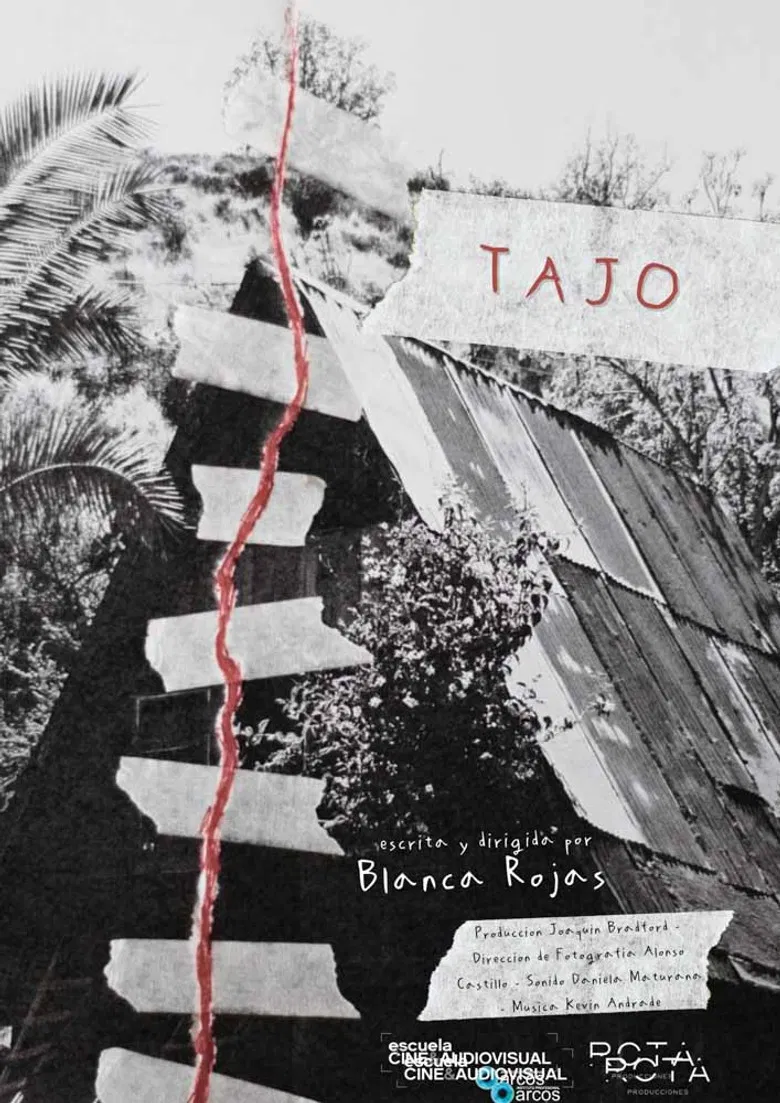 Tajo poster background