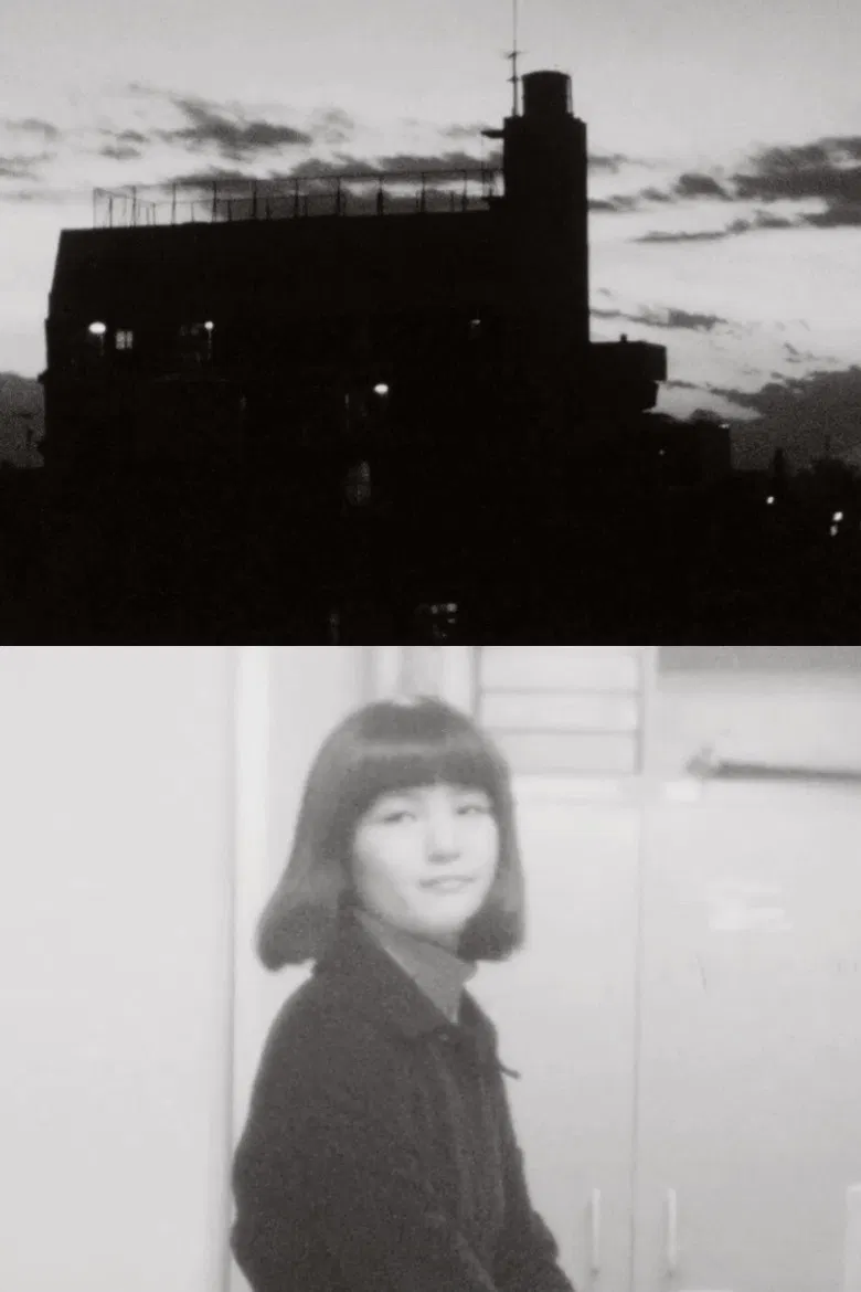 Impressions of a Sunset poster background