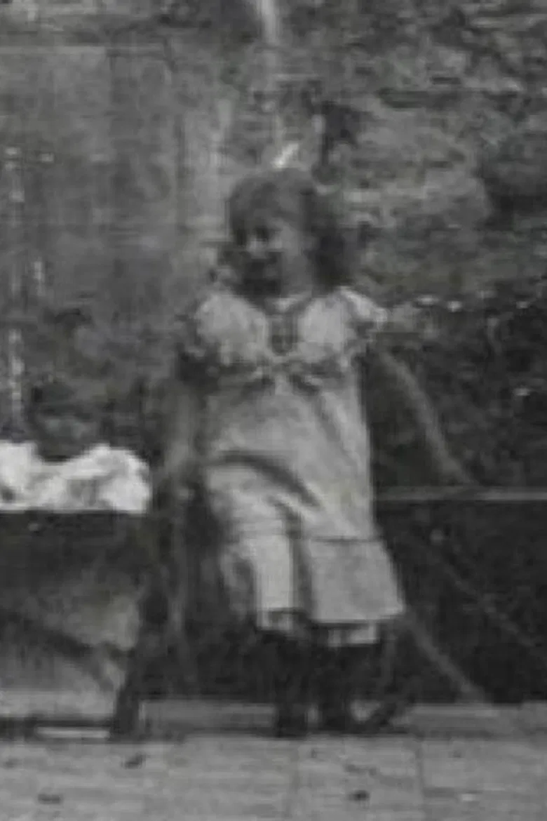 In the Family Garden poster background