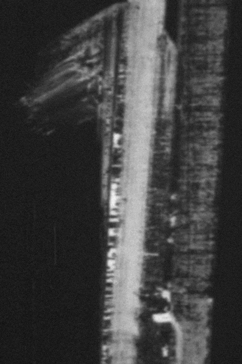 Cheers poster background