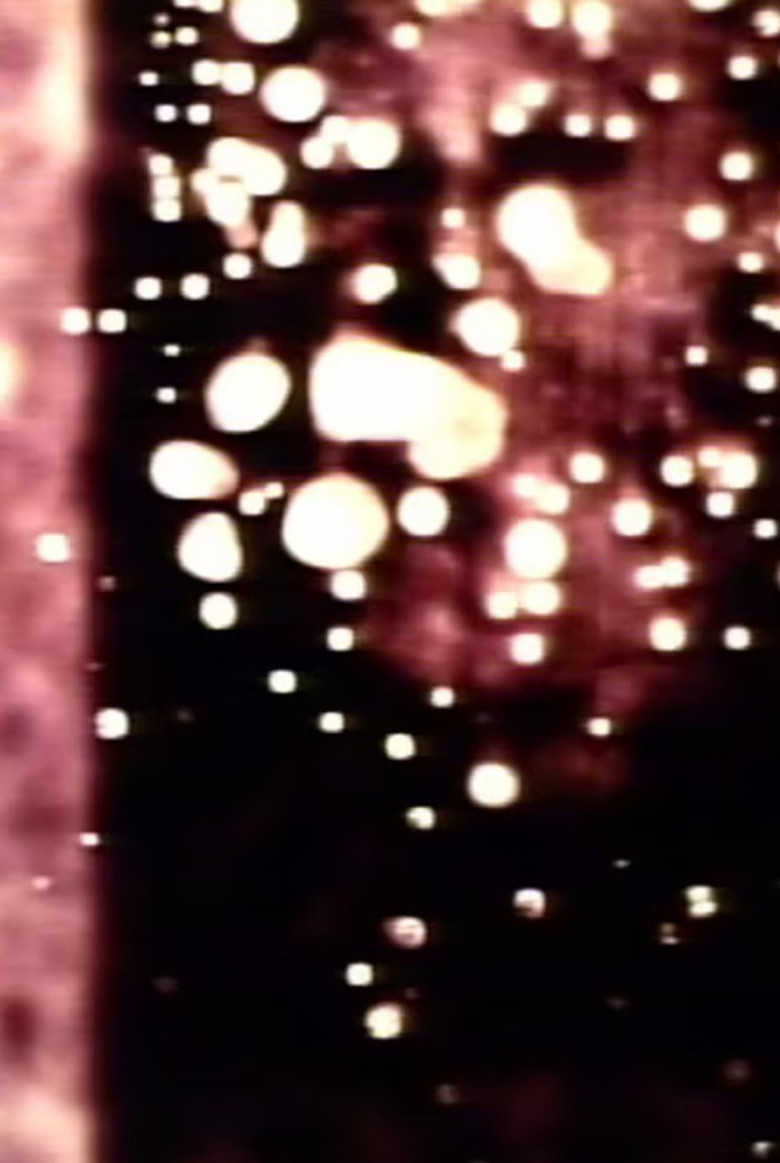 cockroach poster background