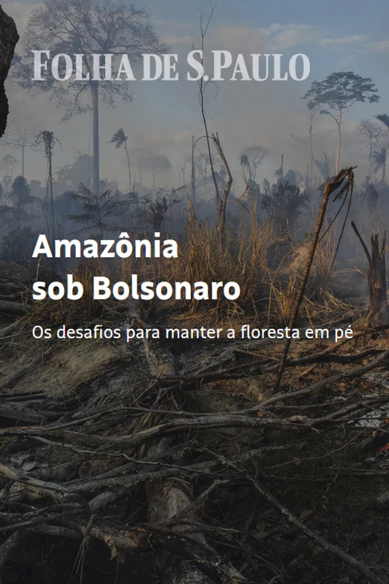 Amazon Under Bolsonaro poster background