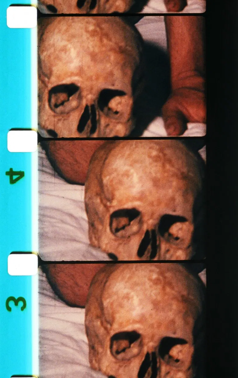 Teo poster background