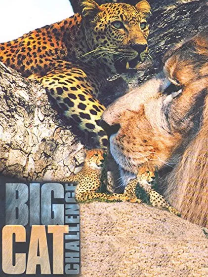 Big Cat Challenge poster background