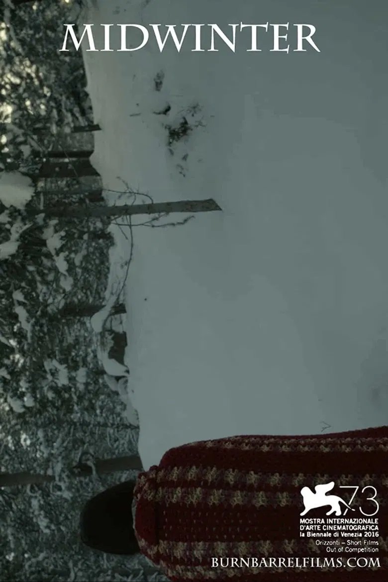 Midwinter poster background