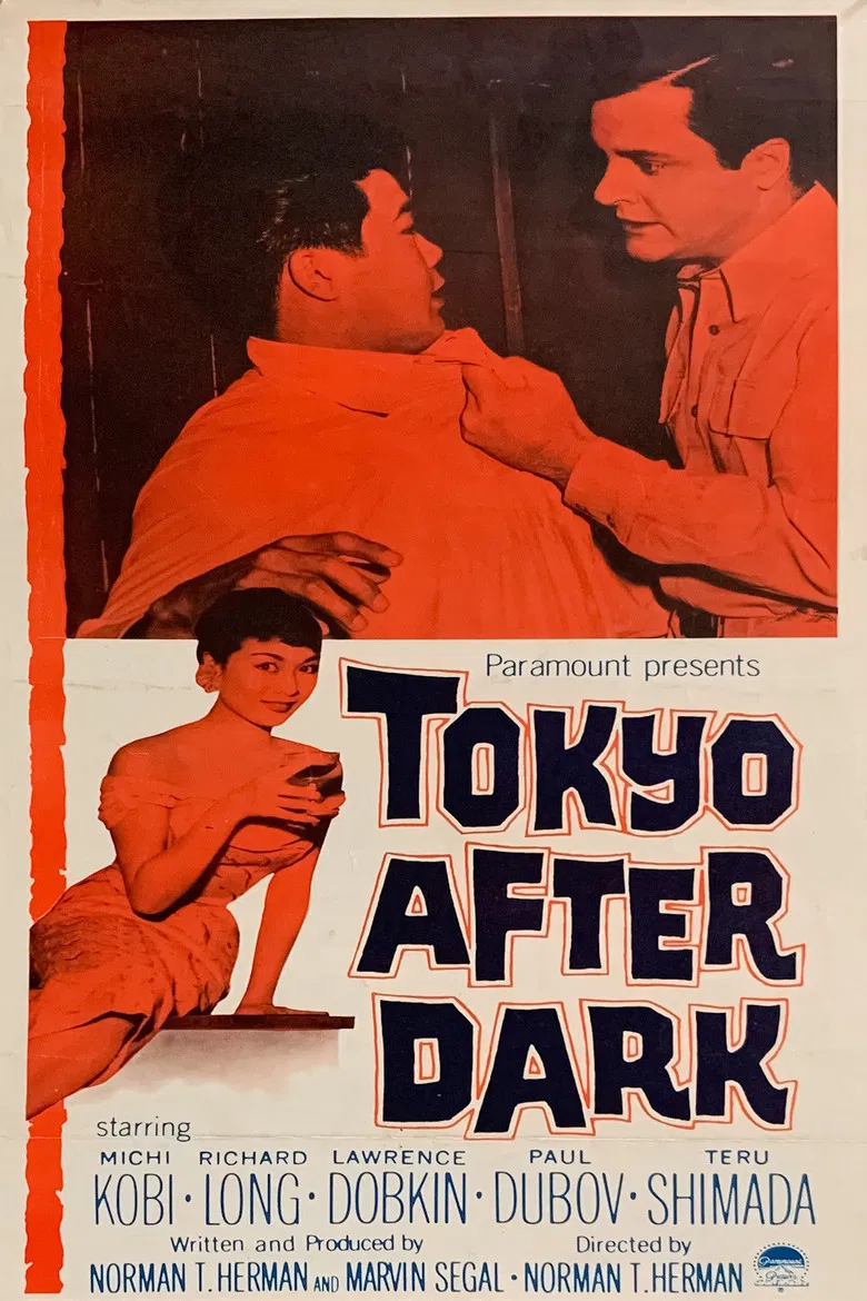 Tokyo After Dark poster background