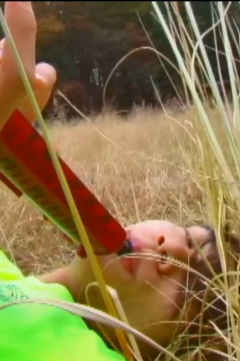 Wild Shaman Maiden poster background