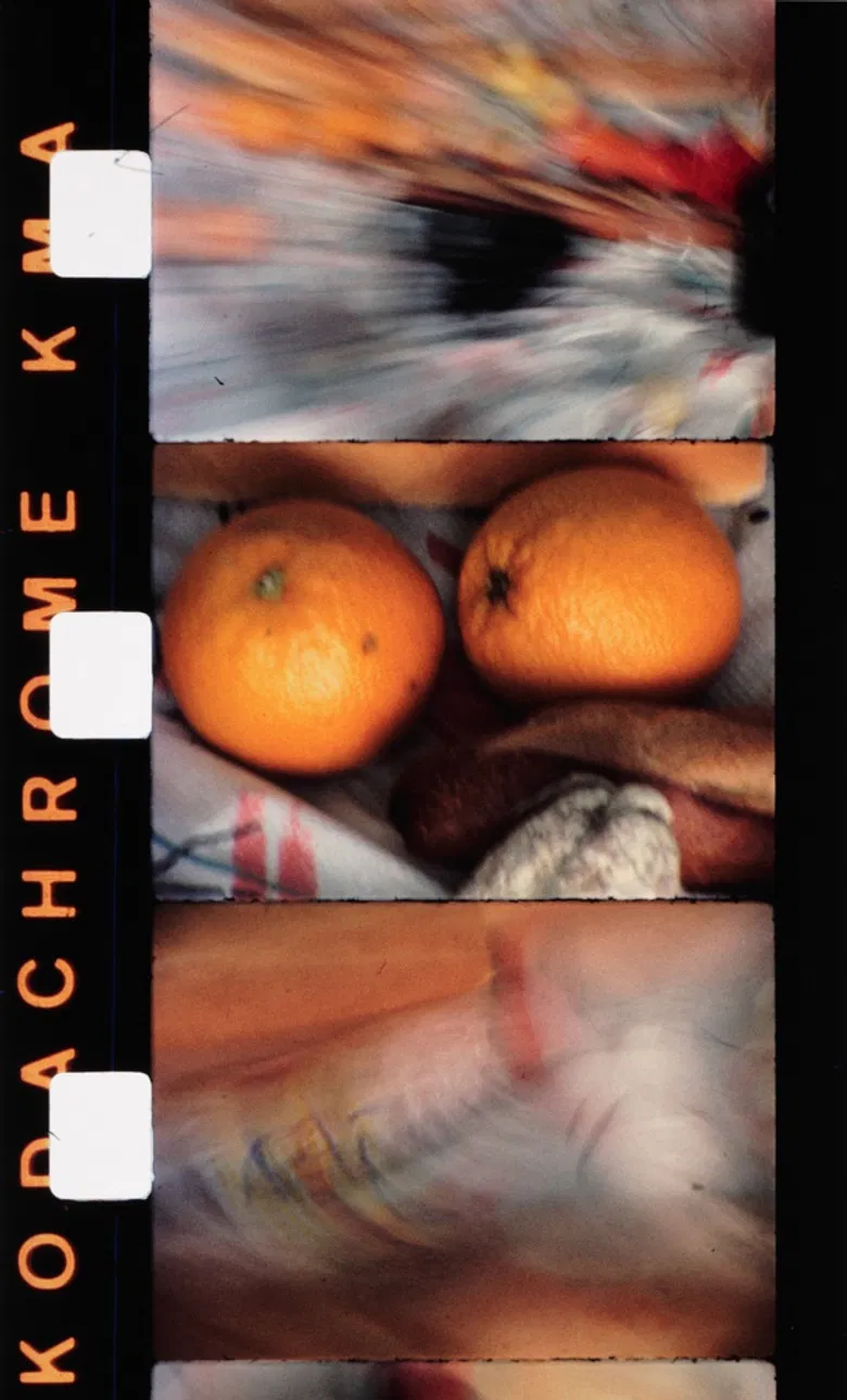 Une partie de campagne poster background