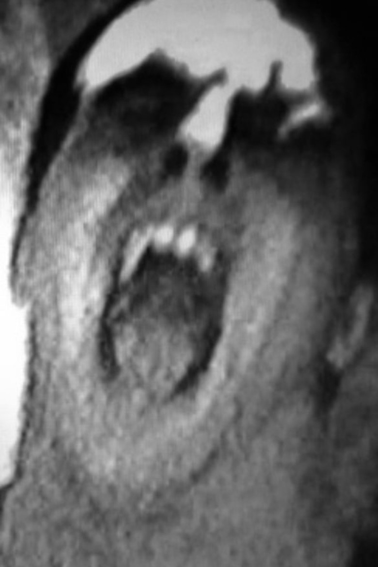 Dont Shout poster background