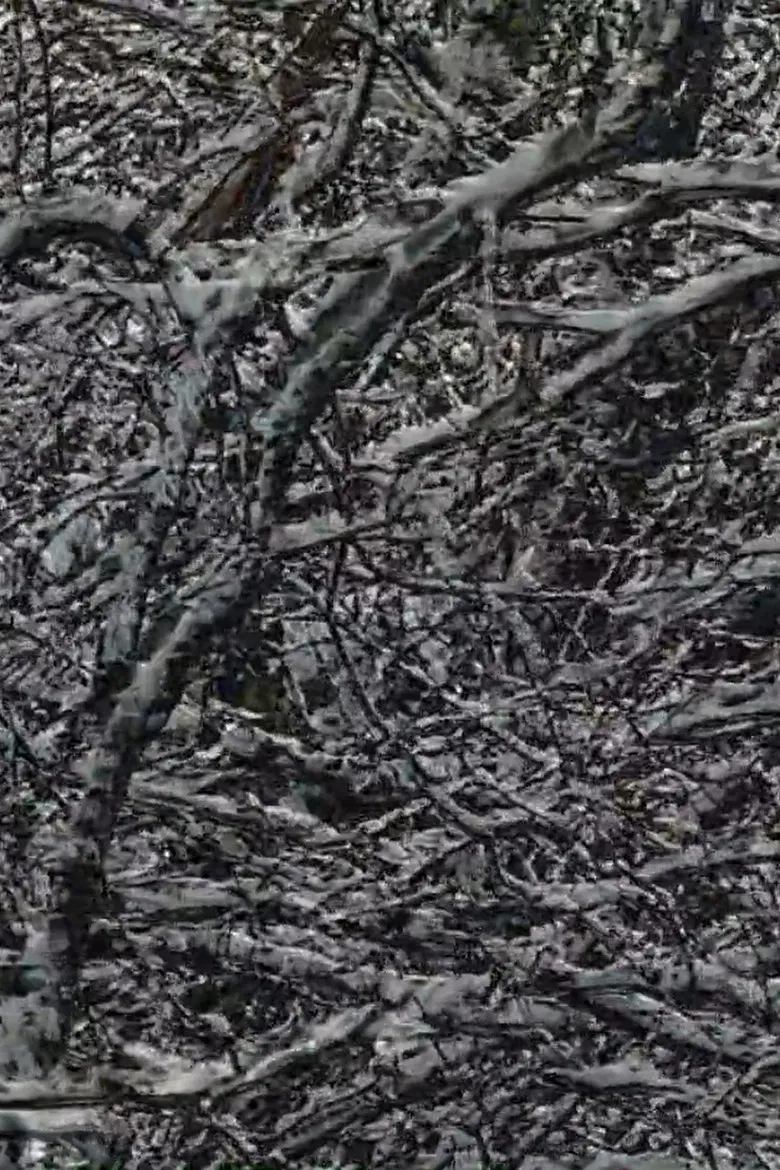 A Full Life poster background