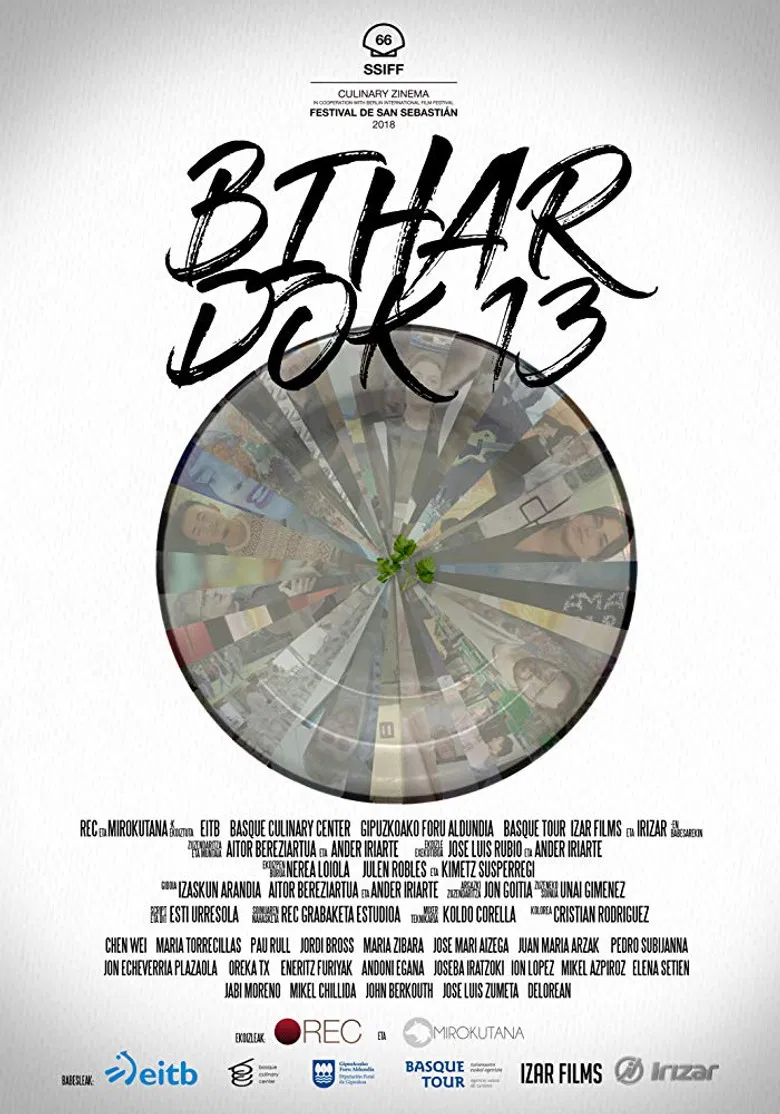 Bihar dok 13 poster background