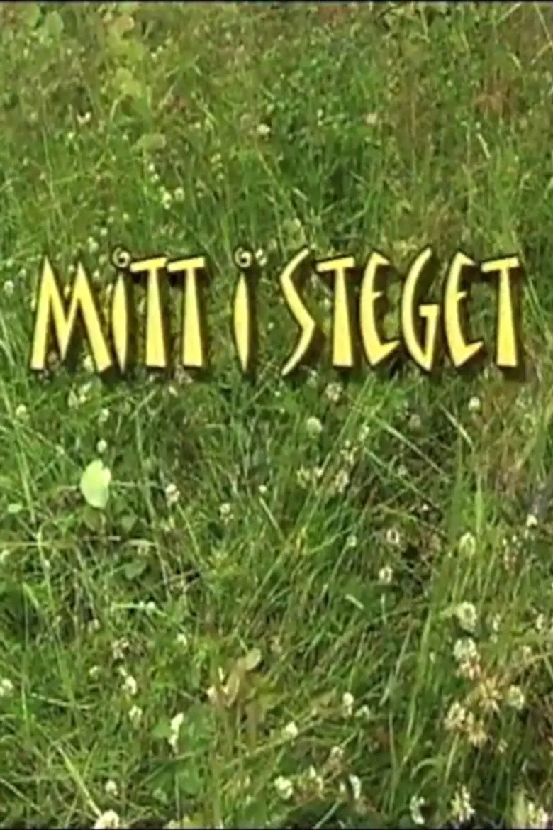 Mitt i steget poster background