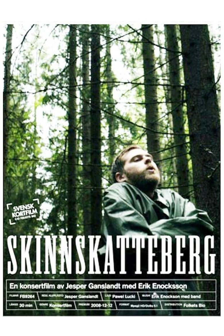 Skinnskatteberg poster background