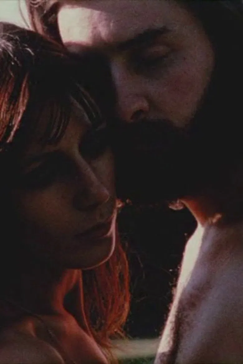 Le cinéma en deux poster background