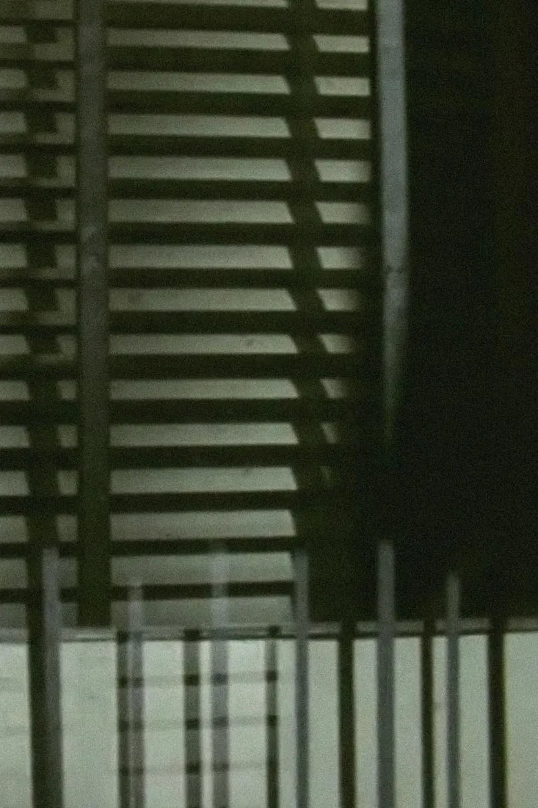 Trajections poster background