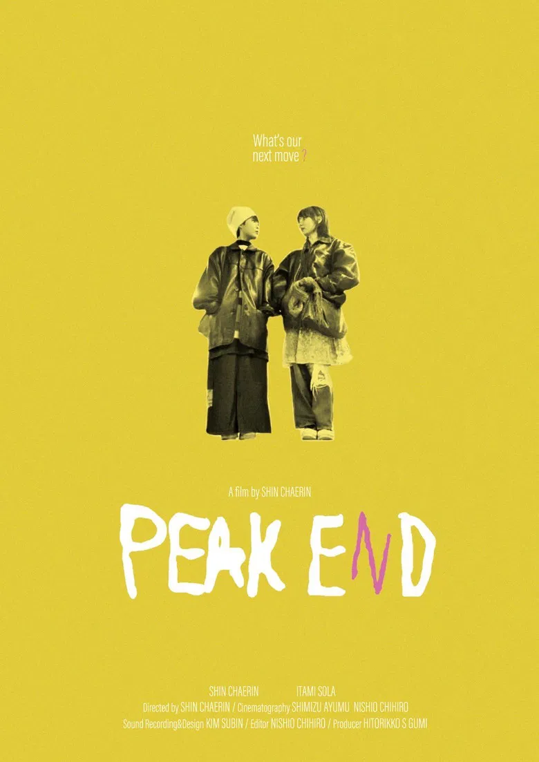 PEAK END poster background