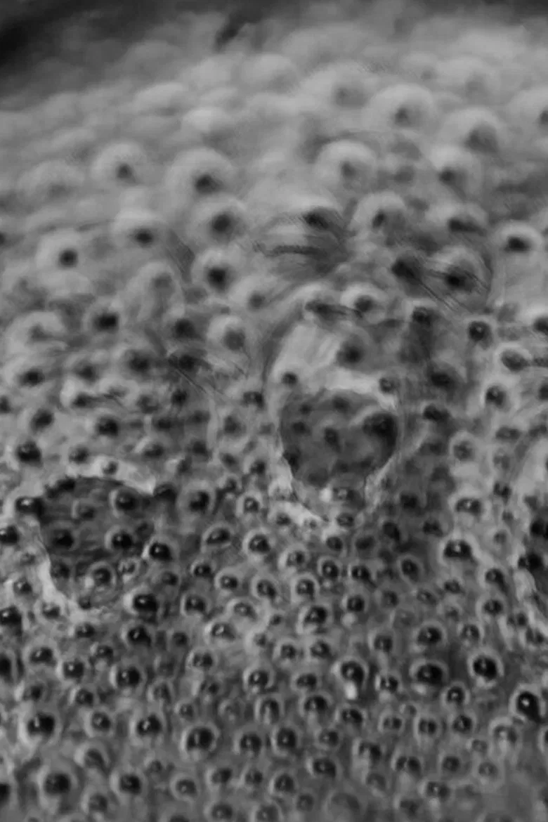 Orbital Discourse poster background