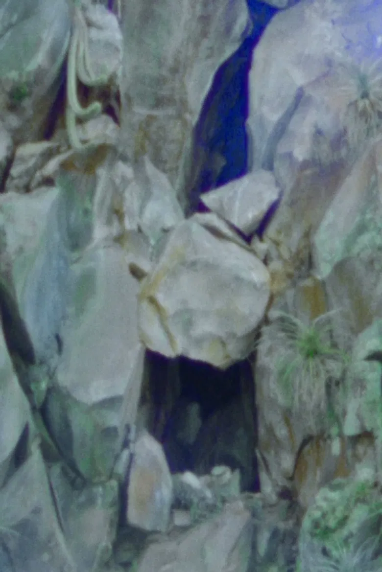 Rumiqolqa poster background