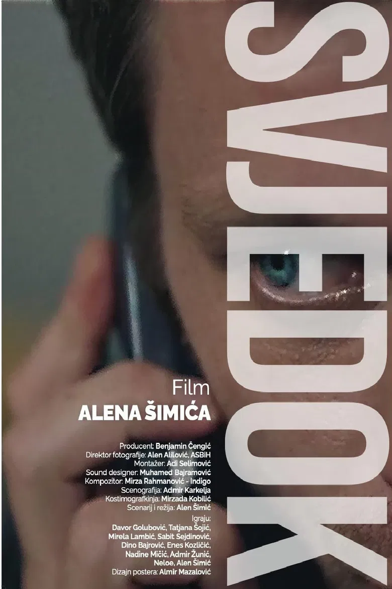 The Witness poster background