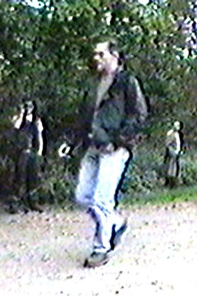 Pan Sexual Public Porn AKA the Adventures of Hans and Del poster background