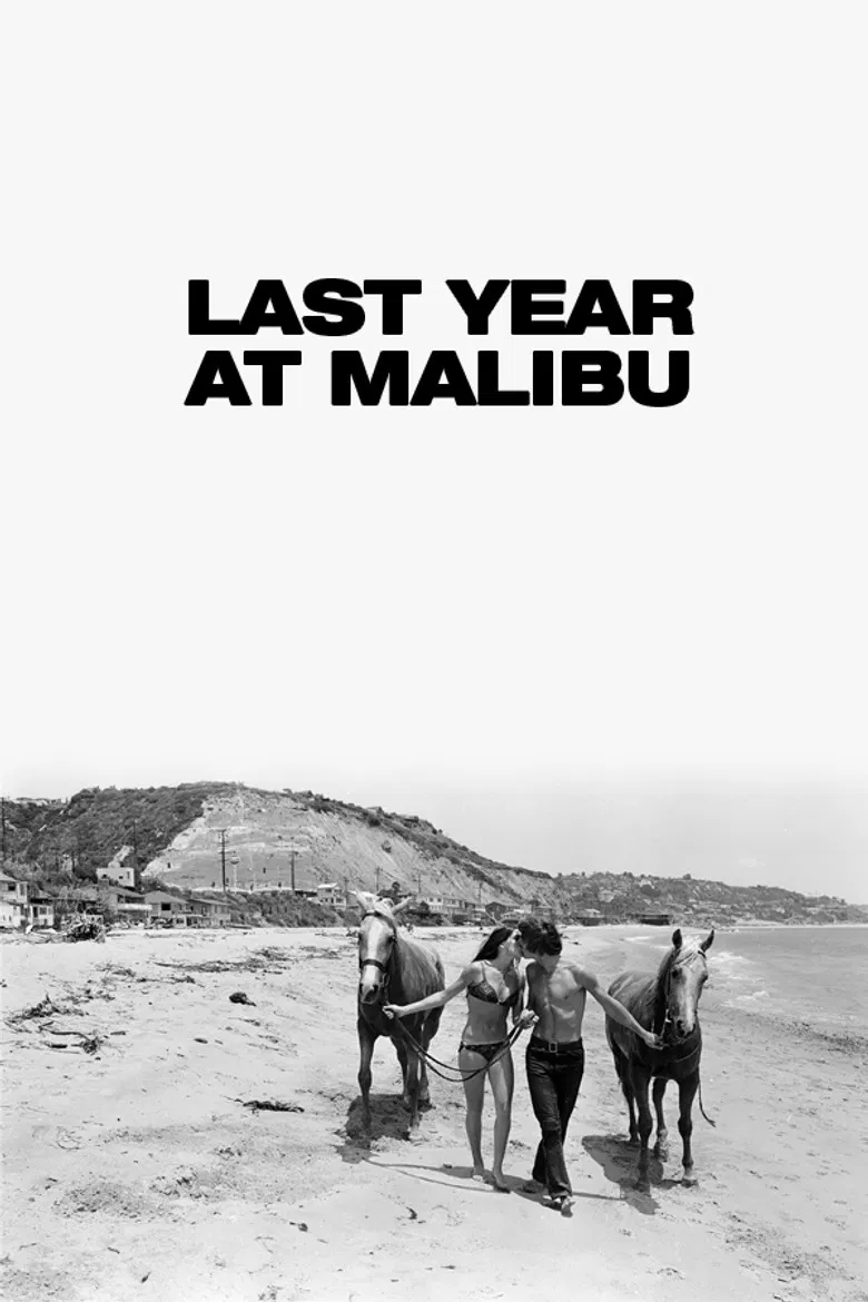 Last Year at Malibu poster background