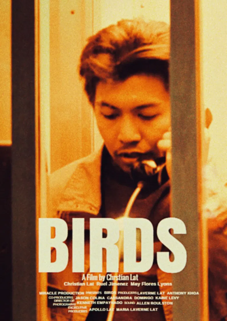 Birds poster background