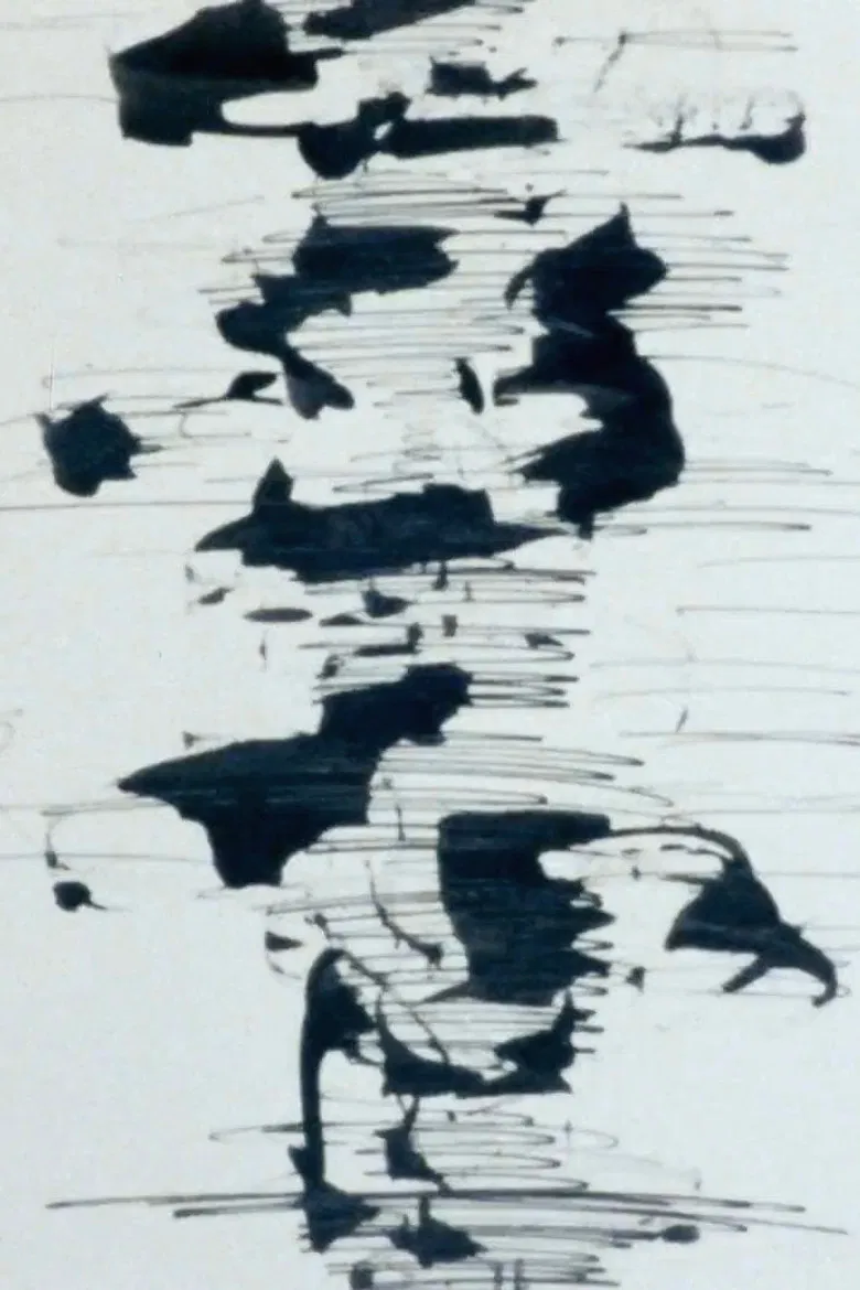 S＝13 poster background