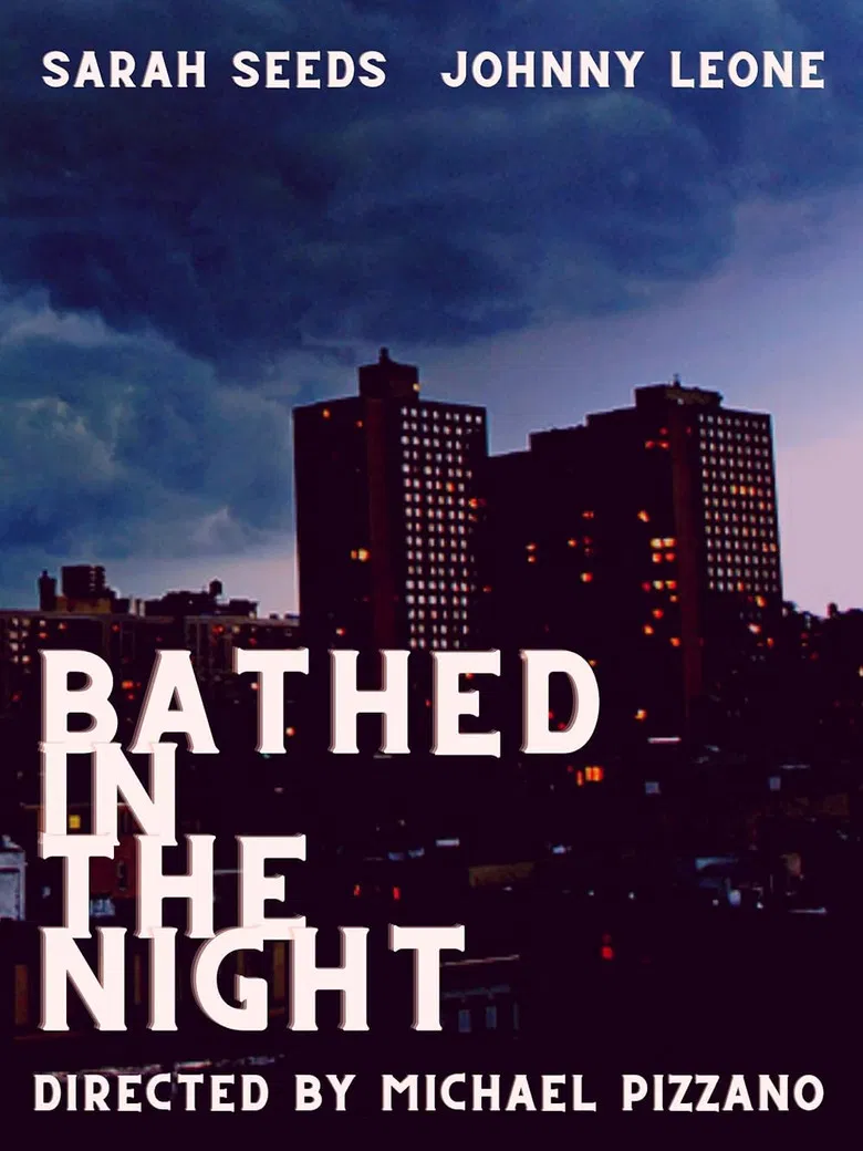 Bathed in the Night poster background