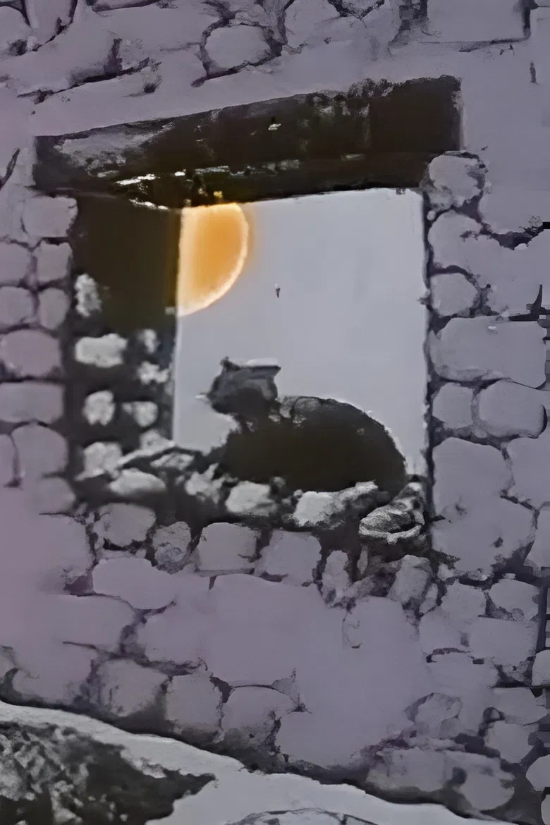 The Chameleon Cat poster background