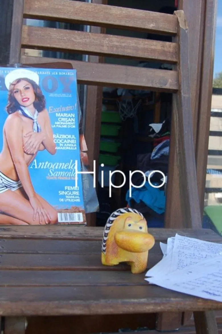 Hippo poster background