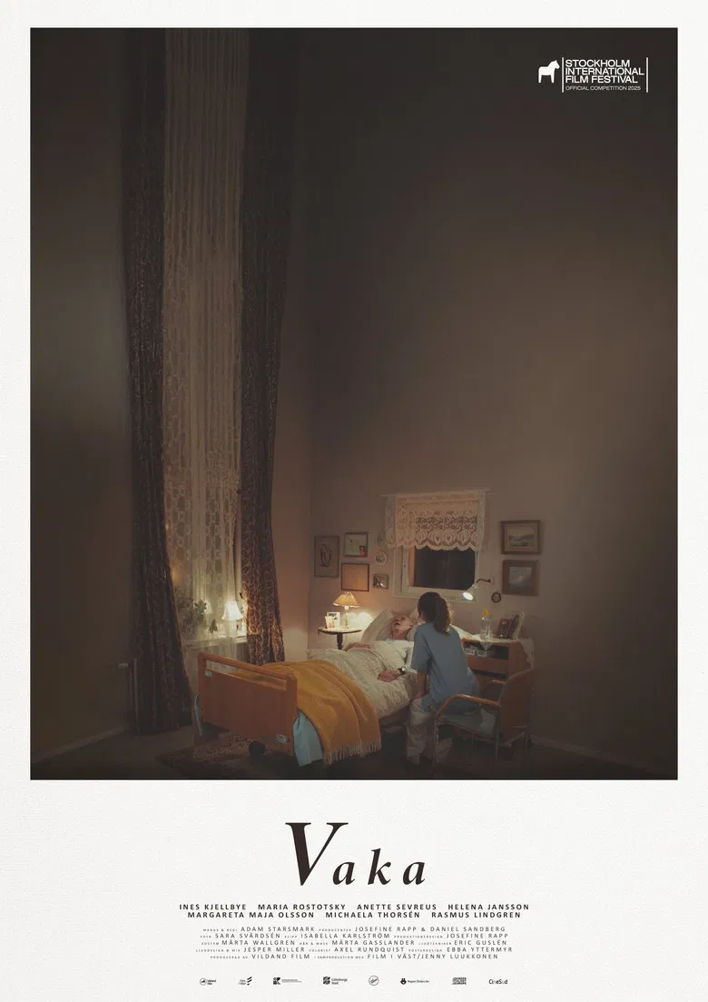 Vaka poster background