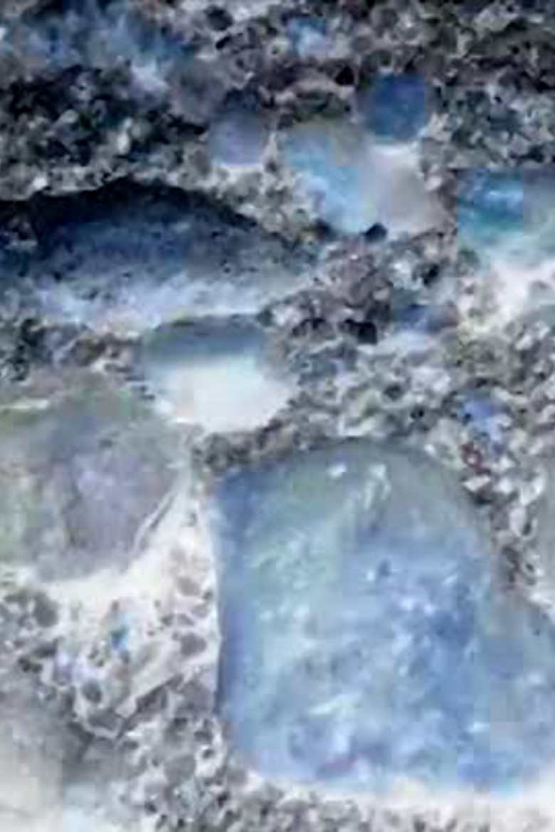 Ecosystem 21 ~ Canis Majoris poster background