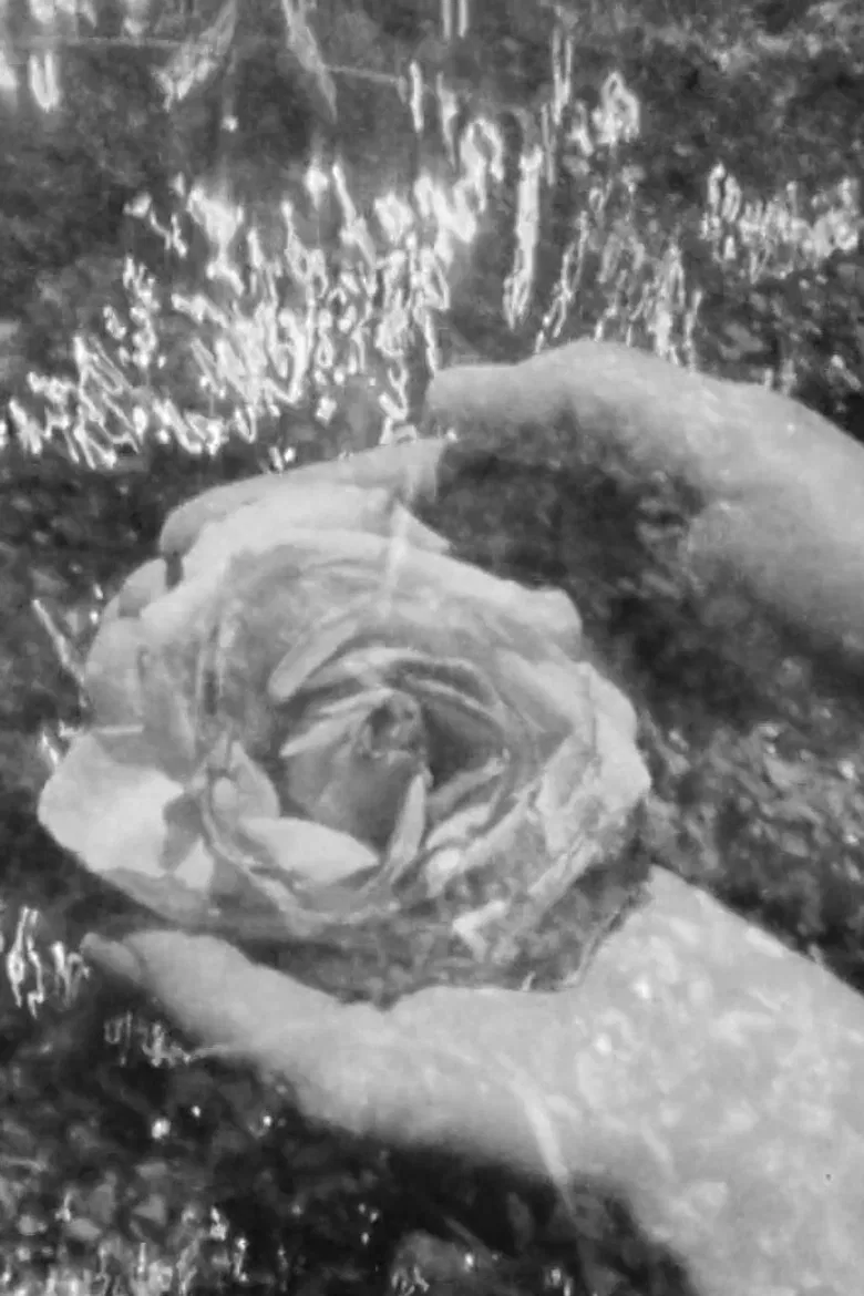 Moccasin Flowers poster background