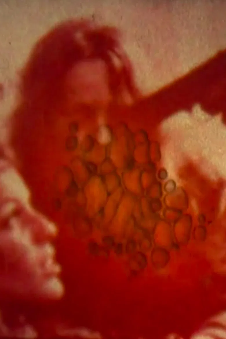 The Pistol poster background