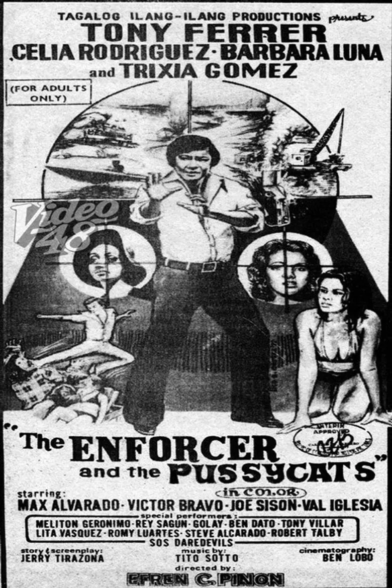 The Enforcer and the Pussycats poster background
