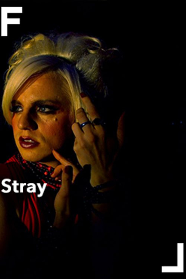 Stray poster background