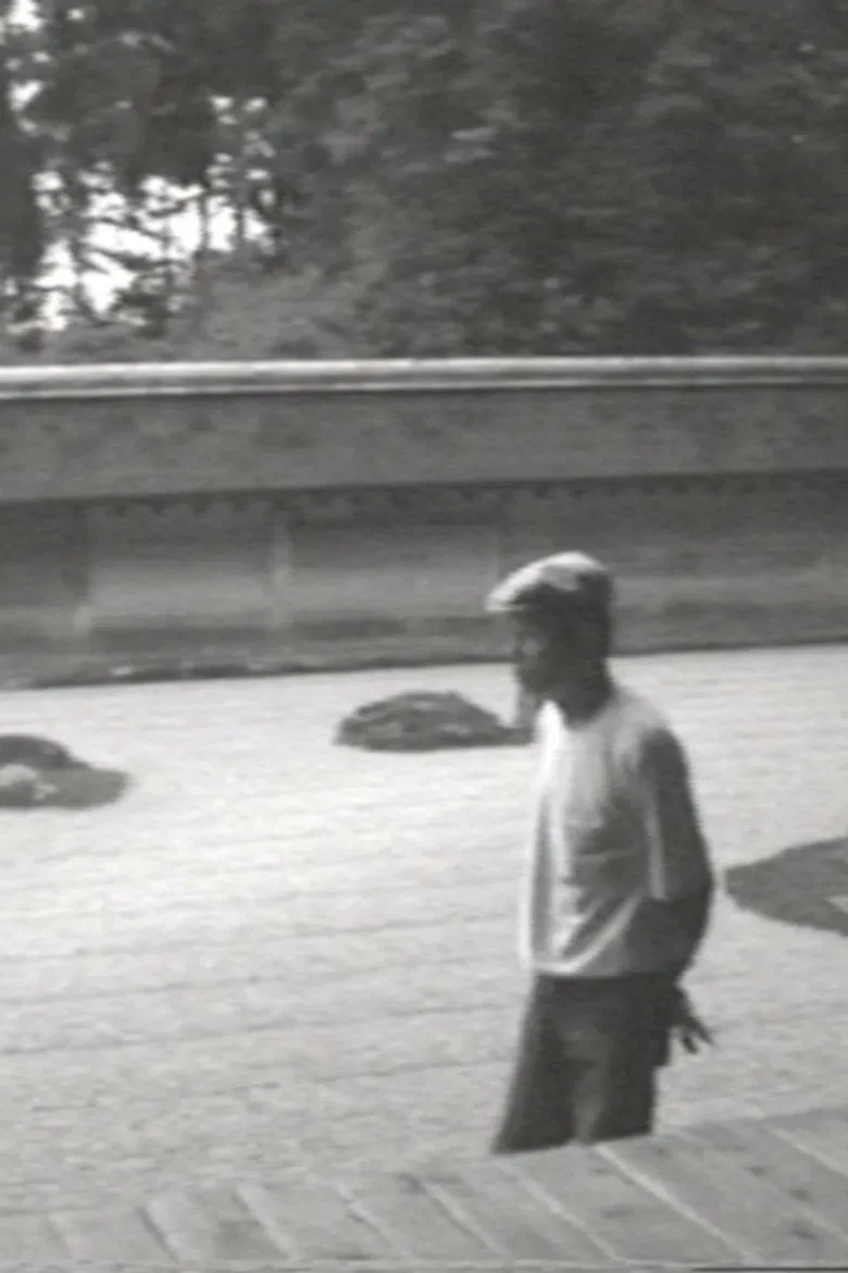 The Making of MA in Ryoan-ji poster background