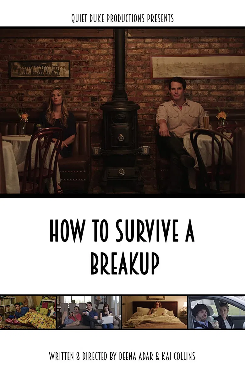 How to Survive a Breakup poster background