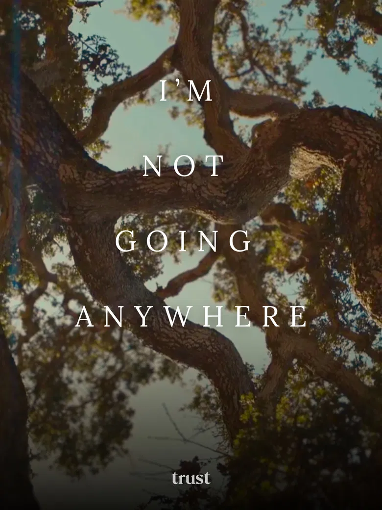 I'm Not Going Anywhere poster background
