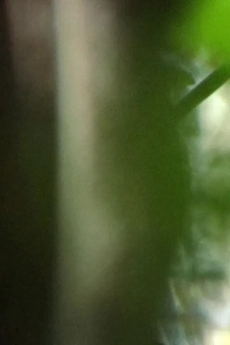 Inhabit, receive, resist poster background