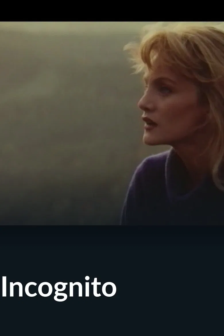 Incognito poster background
