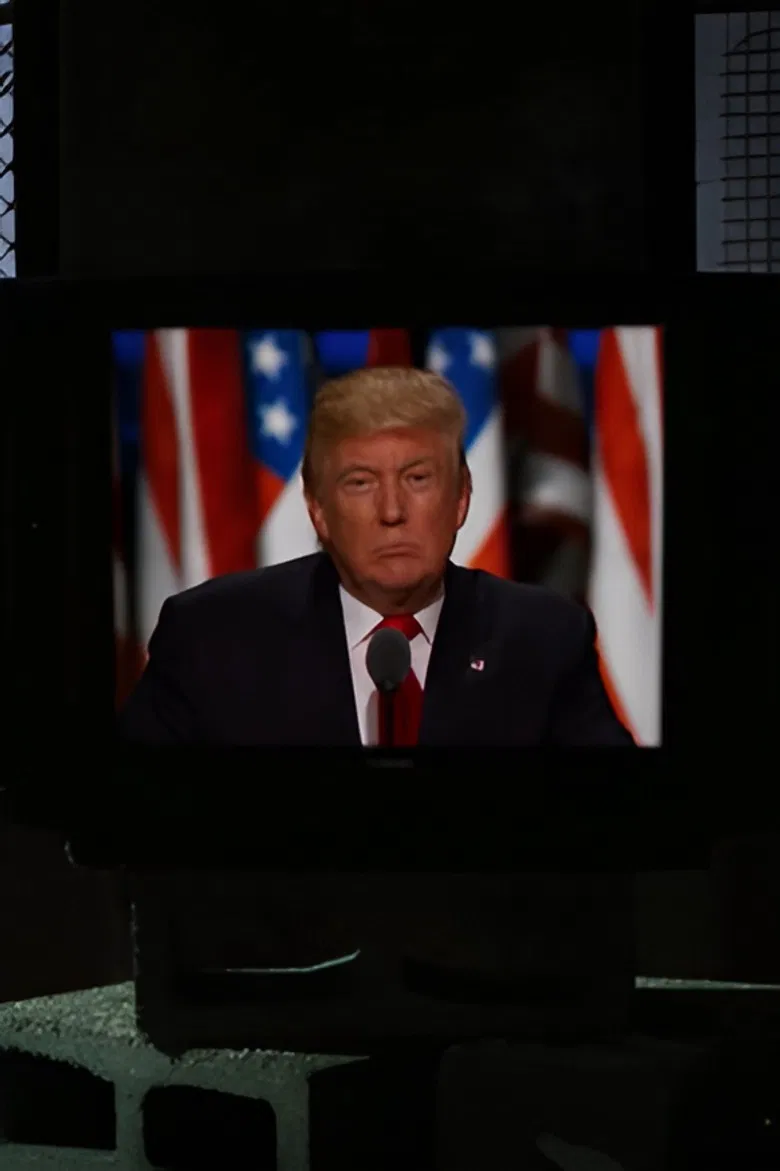 The Southern Strategy poster background