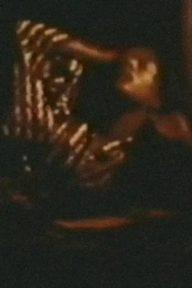 Song 1 poster background