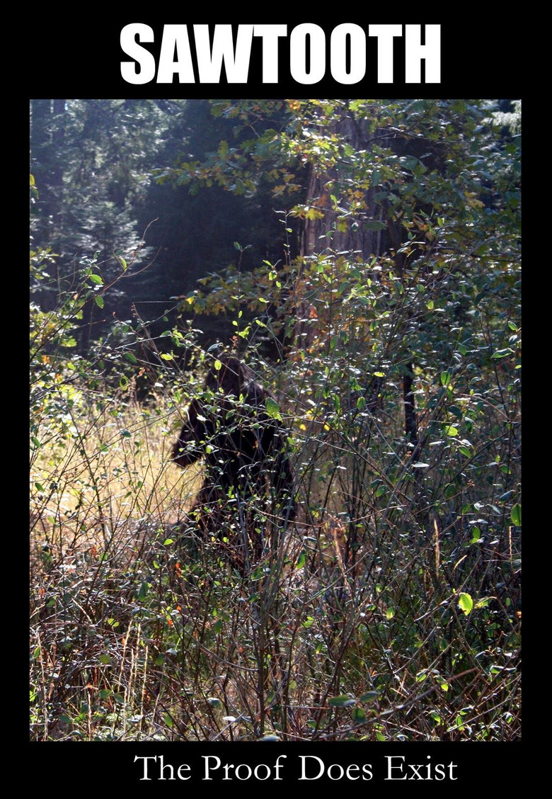 Sawtooth poster background