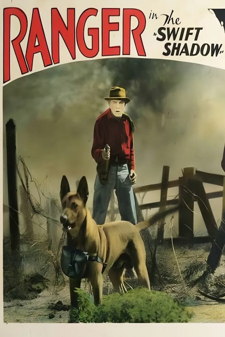 The Swift Shadow poster background