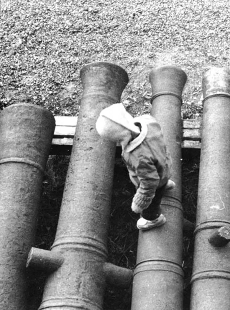 Viapori - Suomenlinna poster background