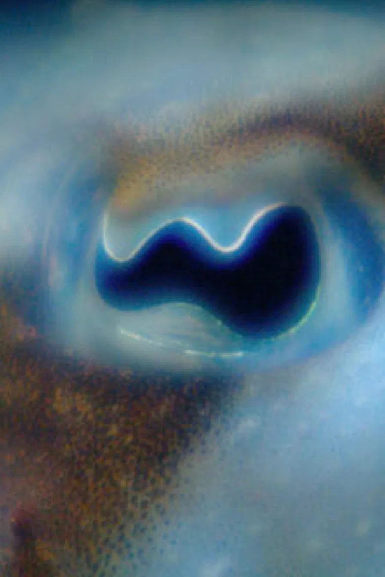 Anywhen In a Time Colored Space poster background