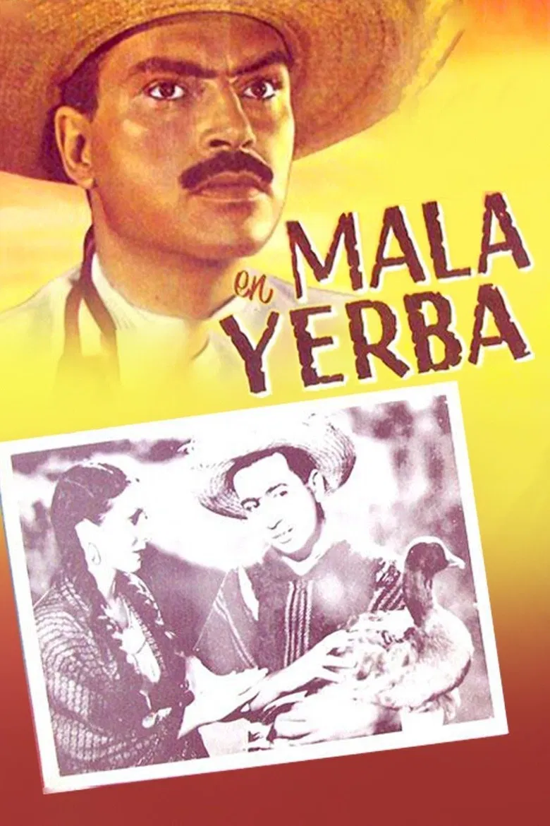 Mala yerba poster background