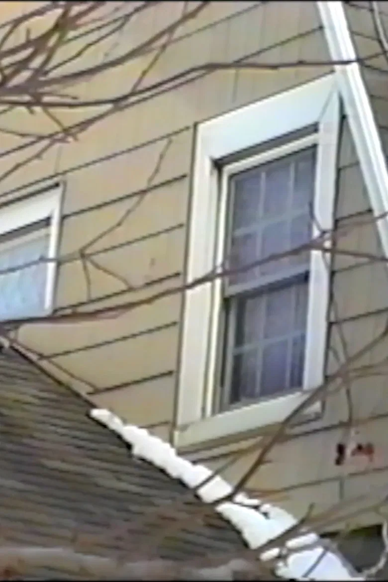 Ua 'ike au poster background