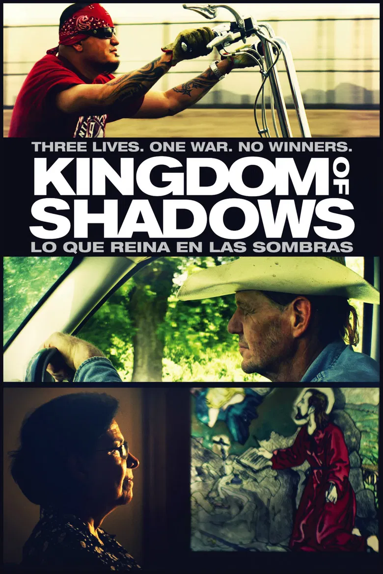 Kingdom of Shadows poster background